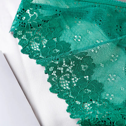 👙 Lace Transparent Low-Rise Panties – Feminine & Flirty
